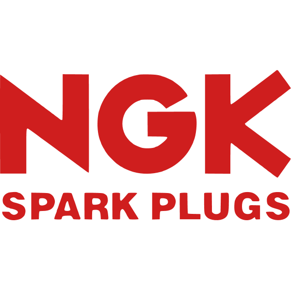 انجیکا - NGK